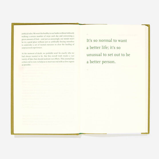 The Self Improvement Journal 