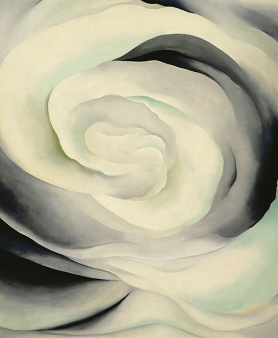 Georgia O'Keeffe: Abstraction White Rose