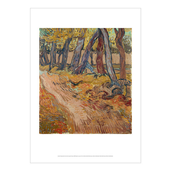Vincent van Gogh: Garden of Saint-Paul Hospital with Figure poster