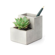 Small Concrete Desktop Planter