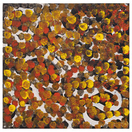 Judy Kngwarray Greenie, Atnwelarr, 66-25 original painting