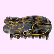 Tortoiseshell cat hair claw