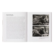 A Brief History of British South Asian Art