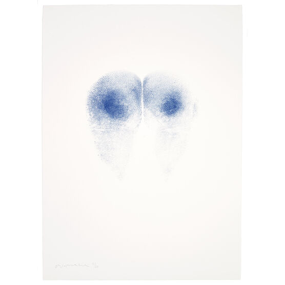 Abigail Lane, ARSE OVER TATE, 1992-97/2026
