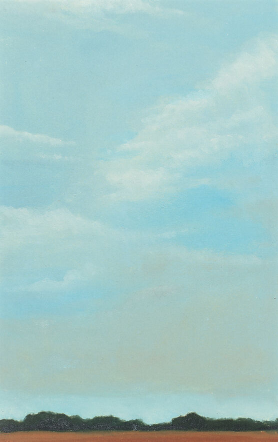 Lisa Milroy: Sky