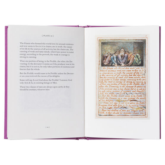 The Marriage of Heaven and Hell (slipcase edition)