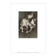 Iwata Nakayama Composition (Butterflies) A4 framed print