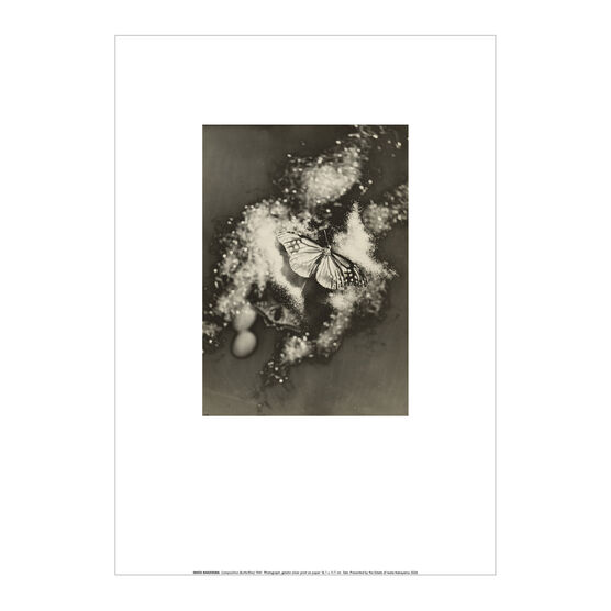 Iwata Nakayama Composition (Butterflies) A4 framed print