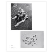 Dora Maar exhibition book (paperback)