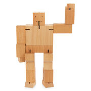 Large cubebot