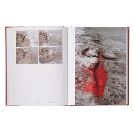 Ana Mendieta exhibition book