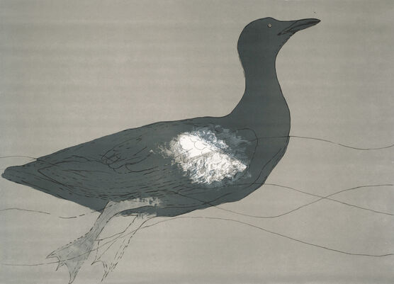 Elisabeth Frink: Guillemot