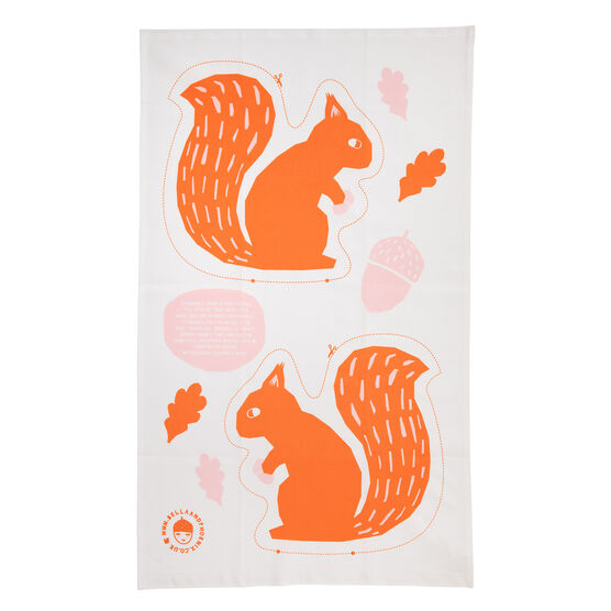 Squirrel cushion cloth kit
