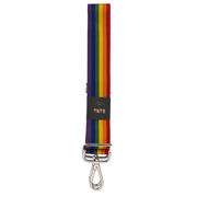 Rainbow Cambridge bag strap