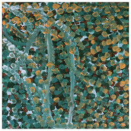 Judy Kngwarray Greenie,  Atnwelarr, 18-25