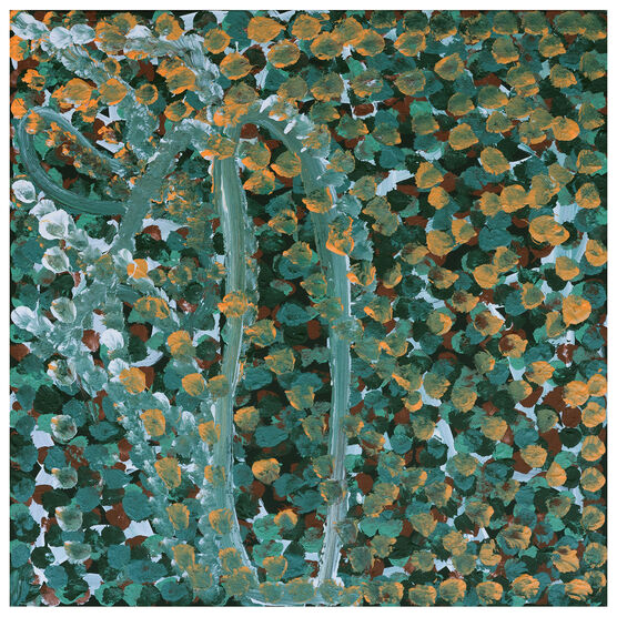 Judy Kngwarray Greenie,  Atnwelarr, 18-25