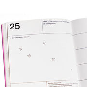 Pink 2020 planner