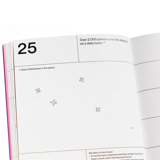 Pink 2020 planner