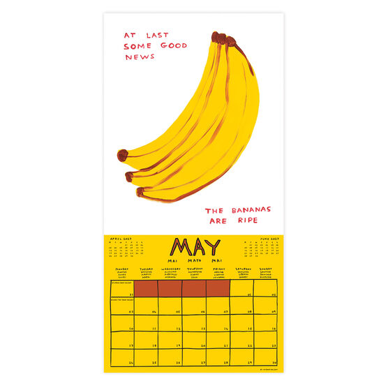 David Shrigley 2027 Calendar