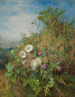 Martha Darley Mutrie: Wild Flowers at the Corner of a Cornfield