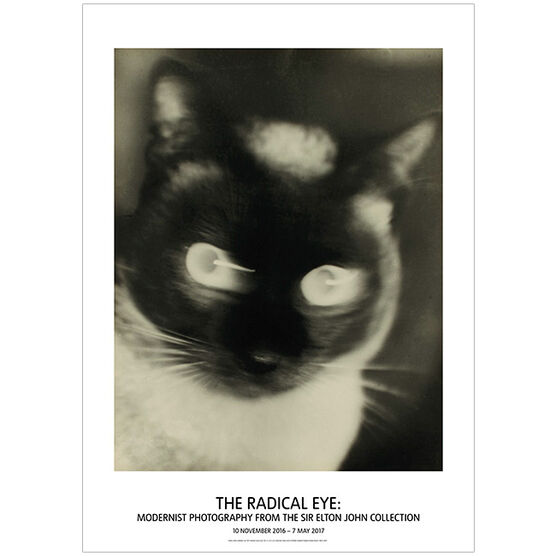 Otto Umbehr "Katz" - Cat (poster)