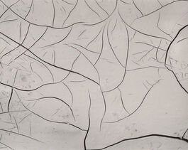 Brett Weston: Untitled (Mud Cracks)