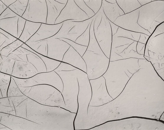 Brett Weston: Untitled (Mud Cracks)