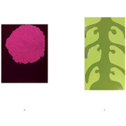 Gary Hume