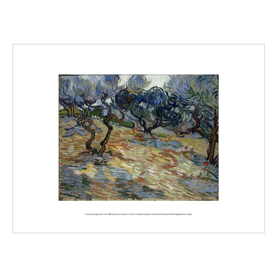 Vincent van Gogh: Olive Trees exhibition print
