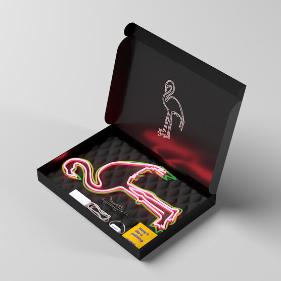 Chila Kumari Singh Burman Flamingo neon light