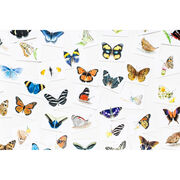 Butterfly Wings card game