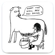 David Shrigley coaster set