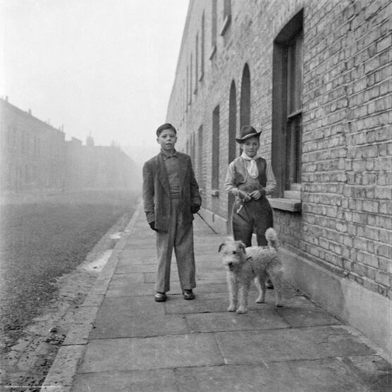 Nigel Henderson: Two unidentified boys with a dog