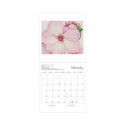 Serenity: Kazuyuki Ohtsu 2025 mini wall calendar
