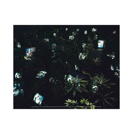 Nam June Paik: TV Garden mini print