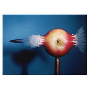 The Apple is Everything
