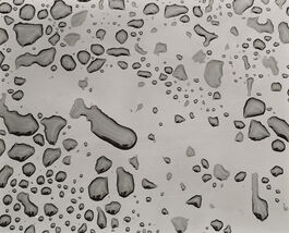 Brett Weston: Untitled (Water Drops)