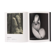 Light and Magic: The Birth of Art Photography exhibition book