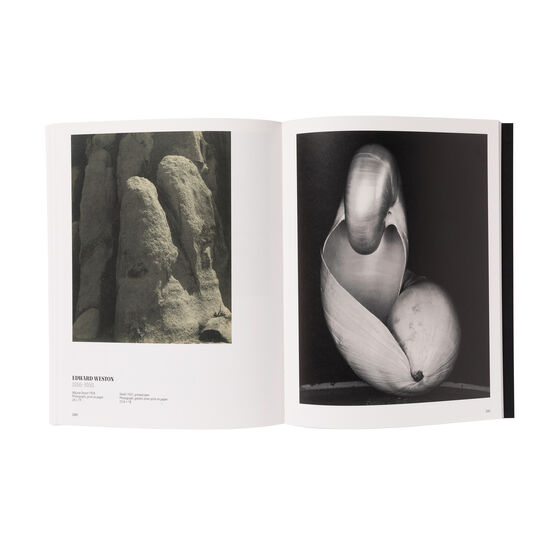 Light and Magic: The Birth of Art Photography exhibition book