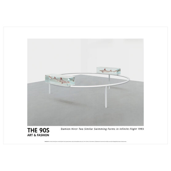 Damien Hirst Two Similar Swimming Forms large poster