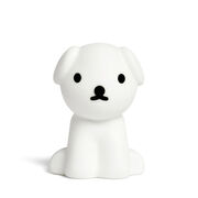 Snuffy lamp