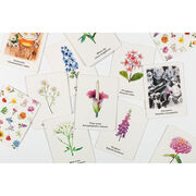 Pick a Flower card game