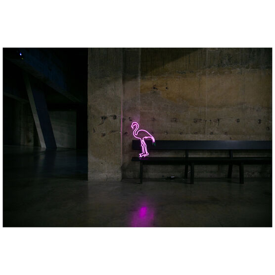 Chila Kumari Singh Burman Flamingo neon light