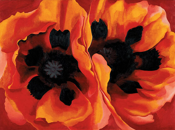 Georgia O'Keeffe: Oriental Poppies
