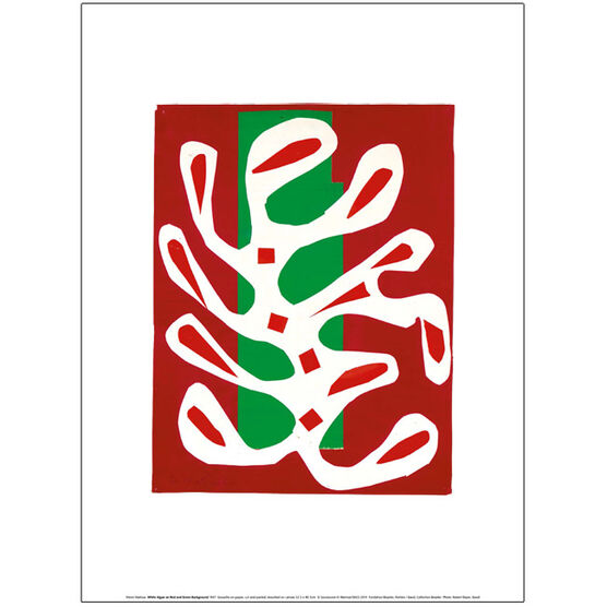 Henri Matisse White Alga on Red and Green Background (exhibition print)