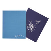 Quentin Blake: Pens Ink & Places special edition
