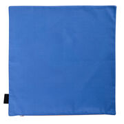 Henri Matisse The Snail cushion cover