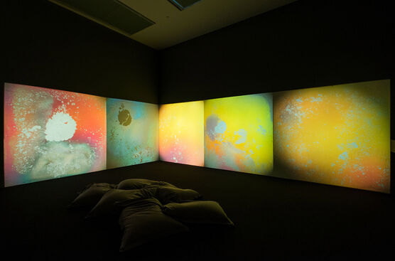 Gustav Metzger: Liquid Crystal Environment
