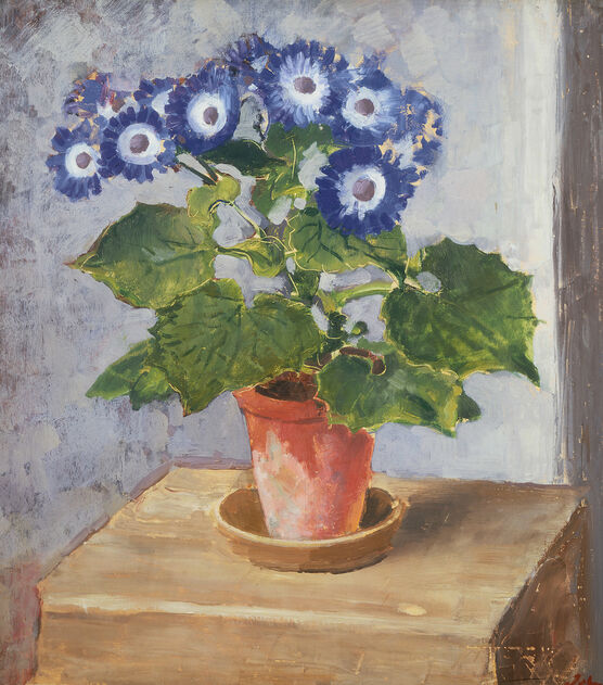 Augustus John: Blue Cineraria