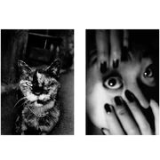 Daido Moriyama